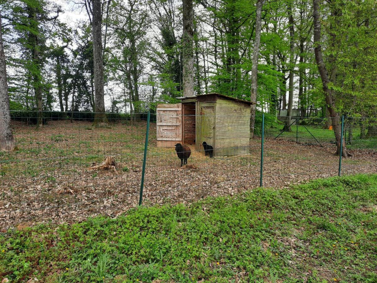 Maison De Campagne Au Calme Chuelles Exteriör bild